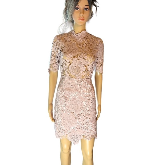 Windsor Blush Pink Lace Cocktail Special Occasion Sheath Medium Dress - Picture 1 of 9